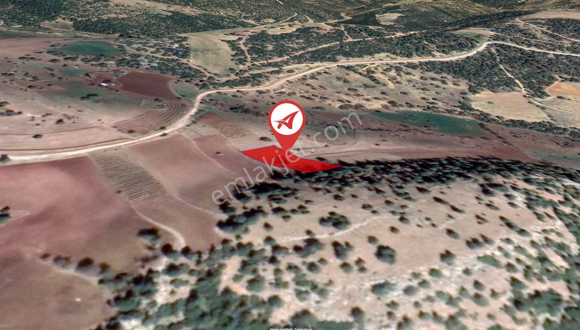 Afyonkarahisar Başmakçı Çığrı Satılık 1326m2 Gül Bahçesi - Görsel 2