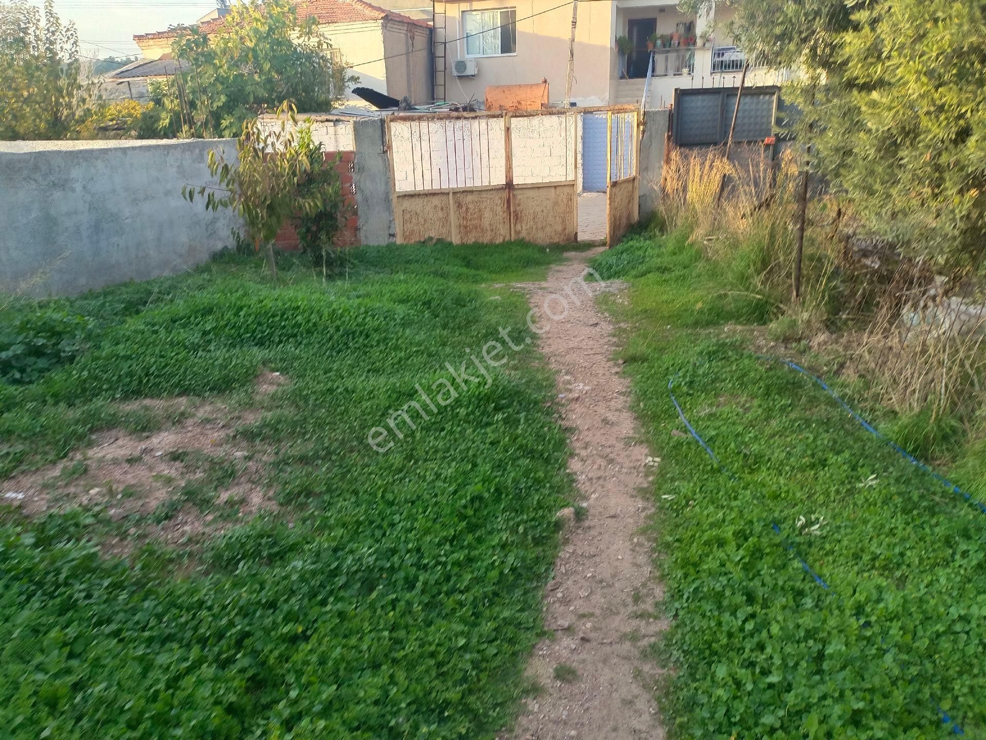 Karacaağaç Köyü Merkezinde Satılık 301 Metre Tek Tapu - Görsel 10