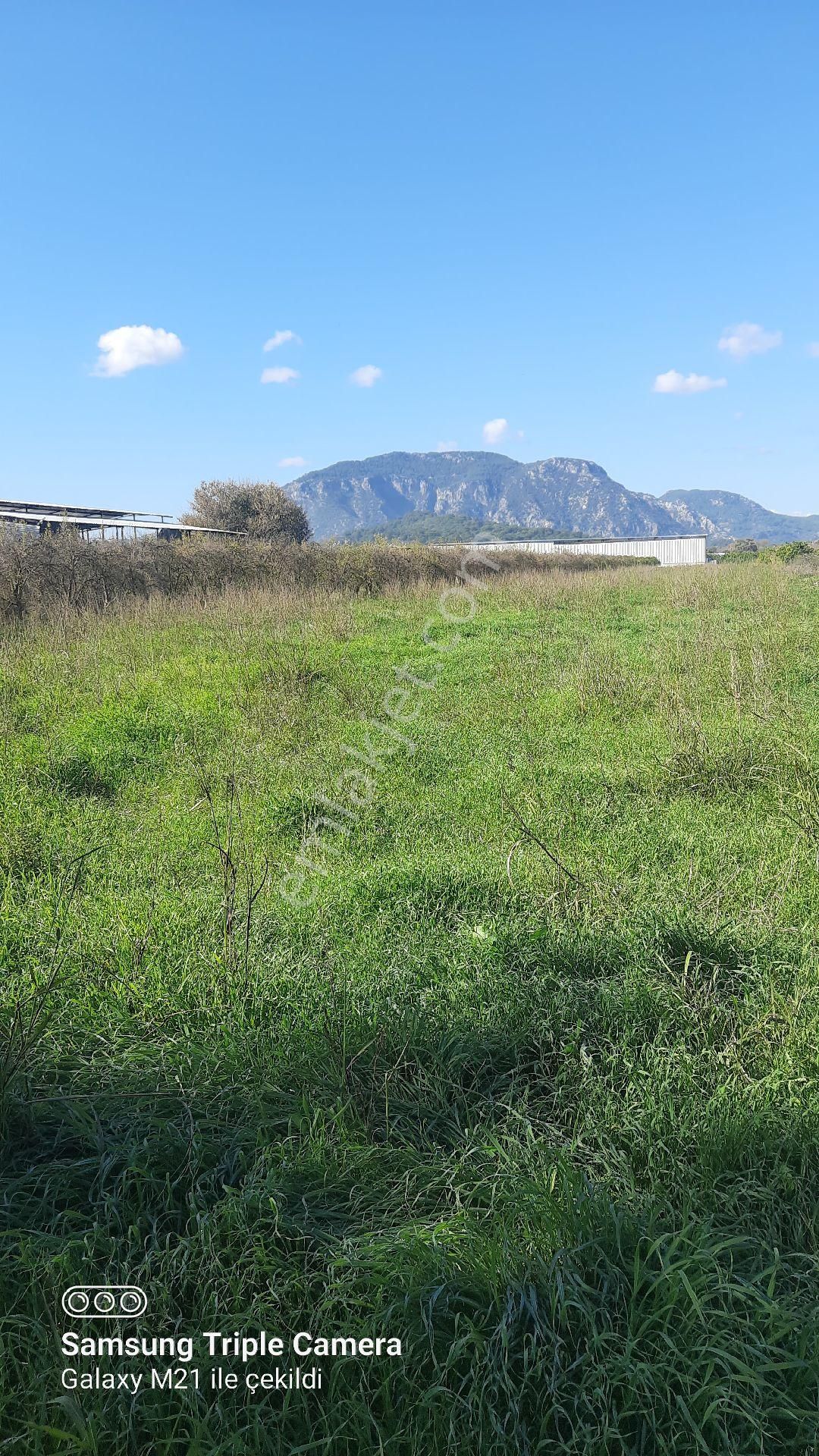 Fevziyede Kelepir 4837 M2