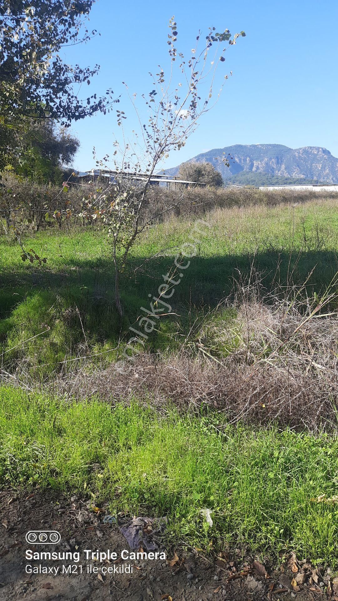 Fevziyede Kelepir 4837 M2 - Görsel 2
