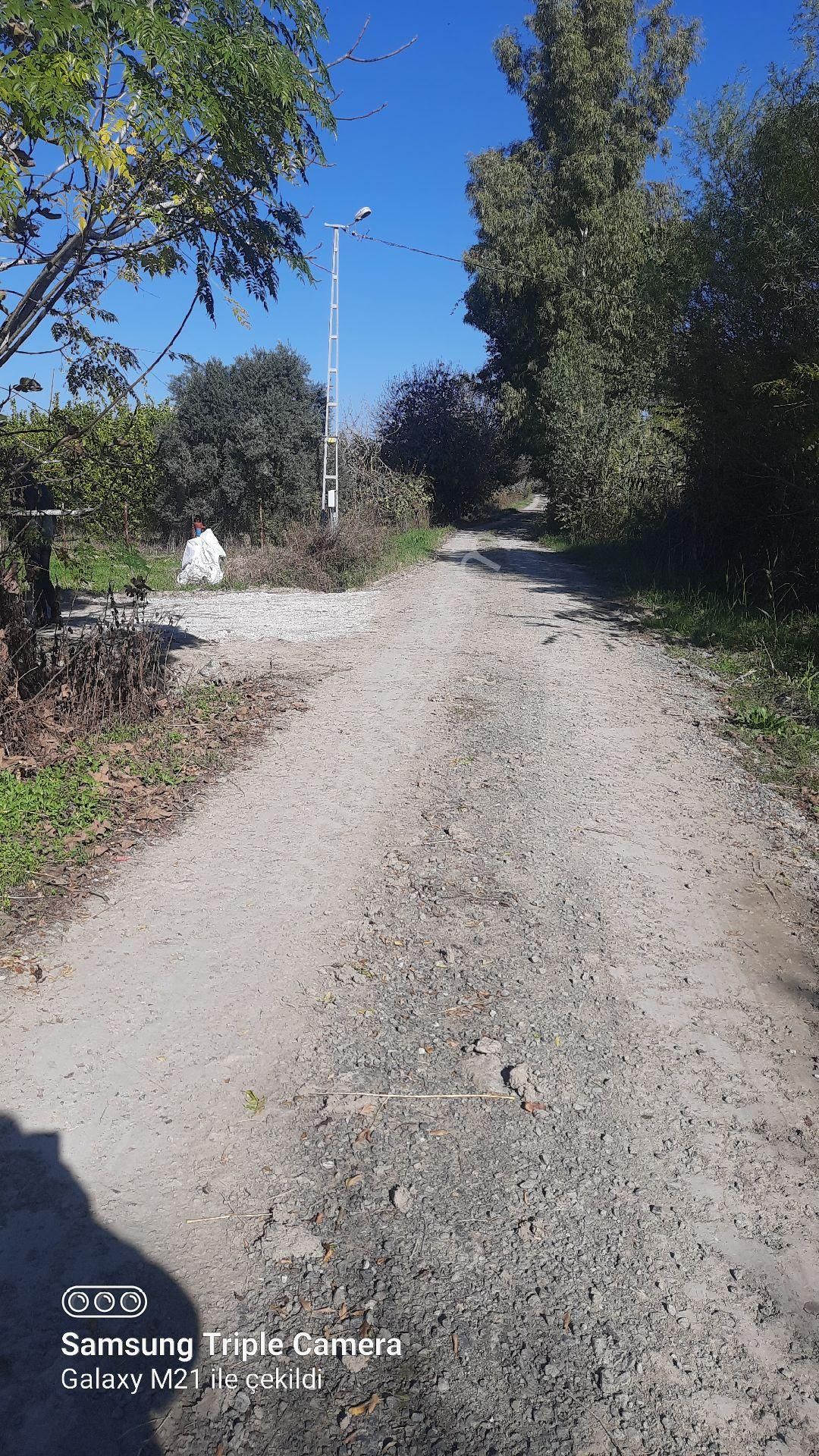 Fevziyede Kelepir 4837 M2 - Görsel 5