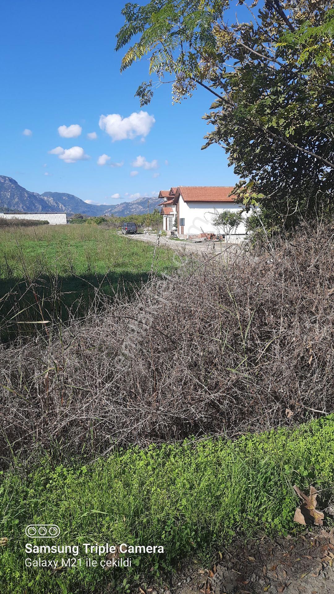 Fevziyede Kelepir 4837 M2 - Görsel 7