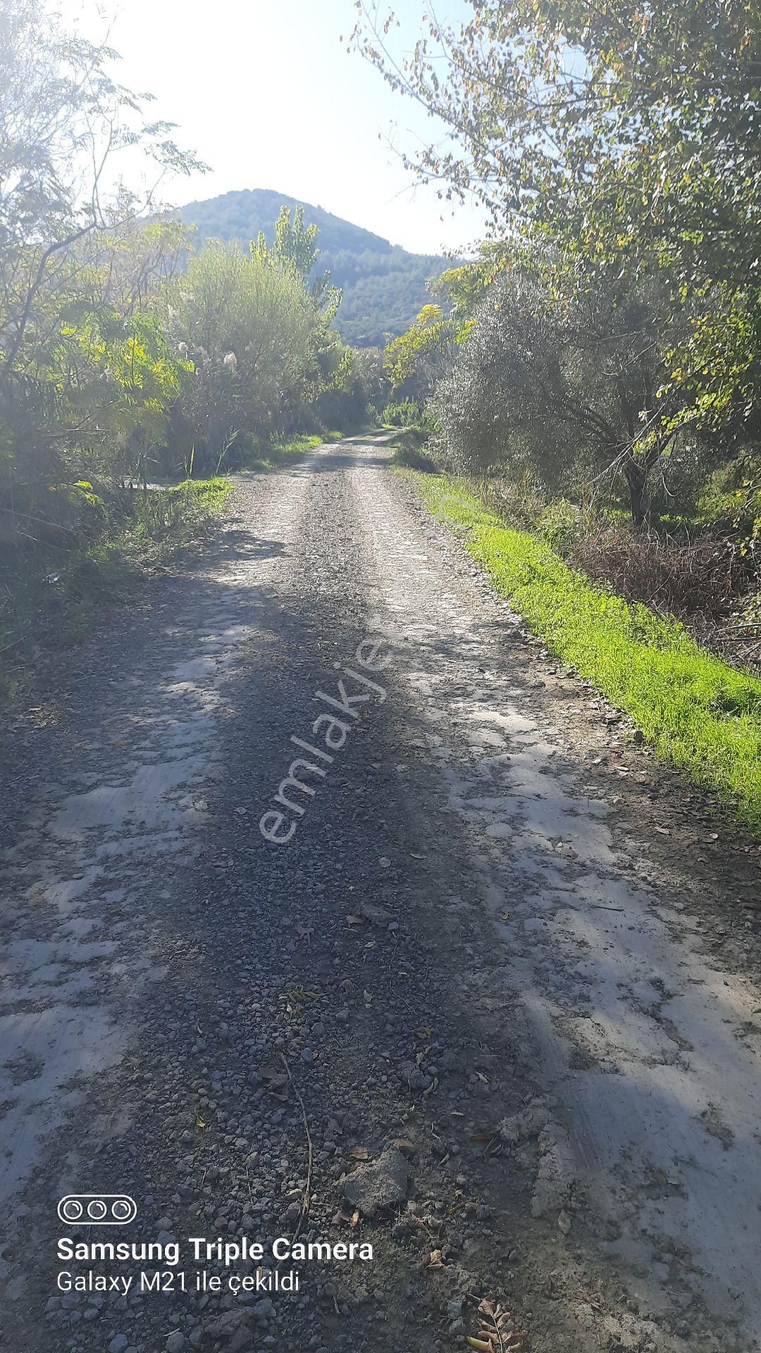 Fevziyede Kelepir 4837 M2 - Görsel 9