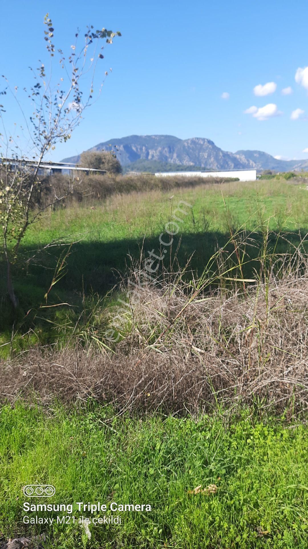 Fevziyede Kelepir 4837 M2 - Görsel 8