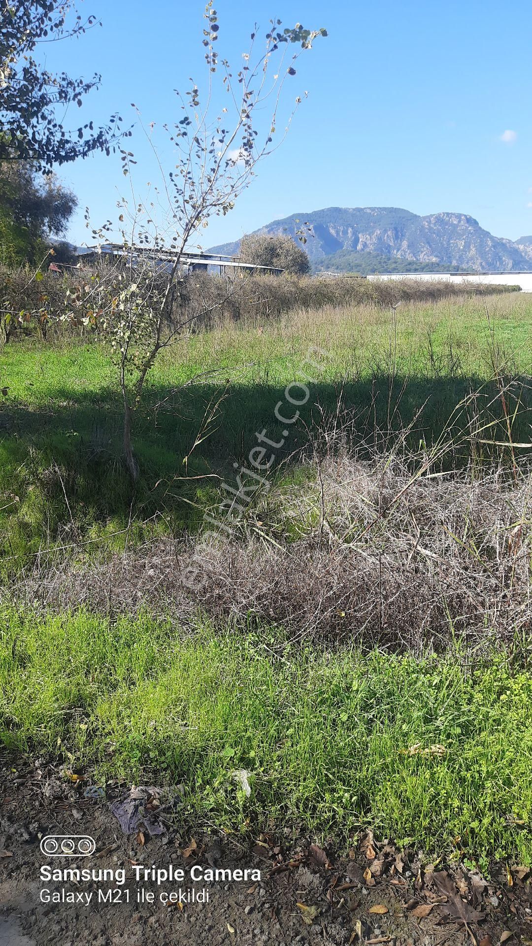 Fevziyede Kelepir 4837 M2 - Görsel 6