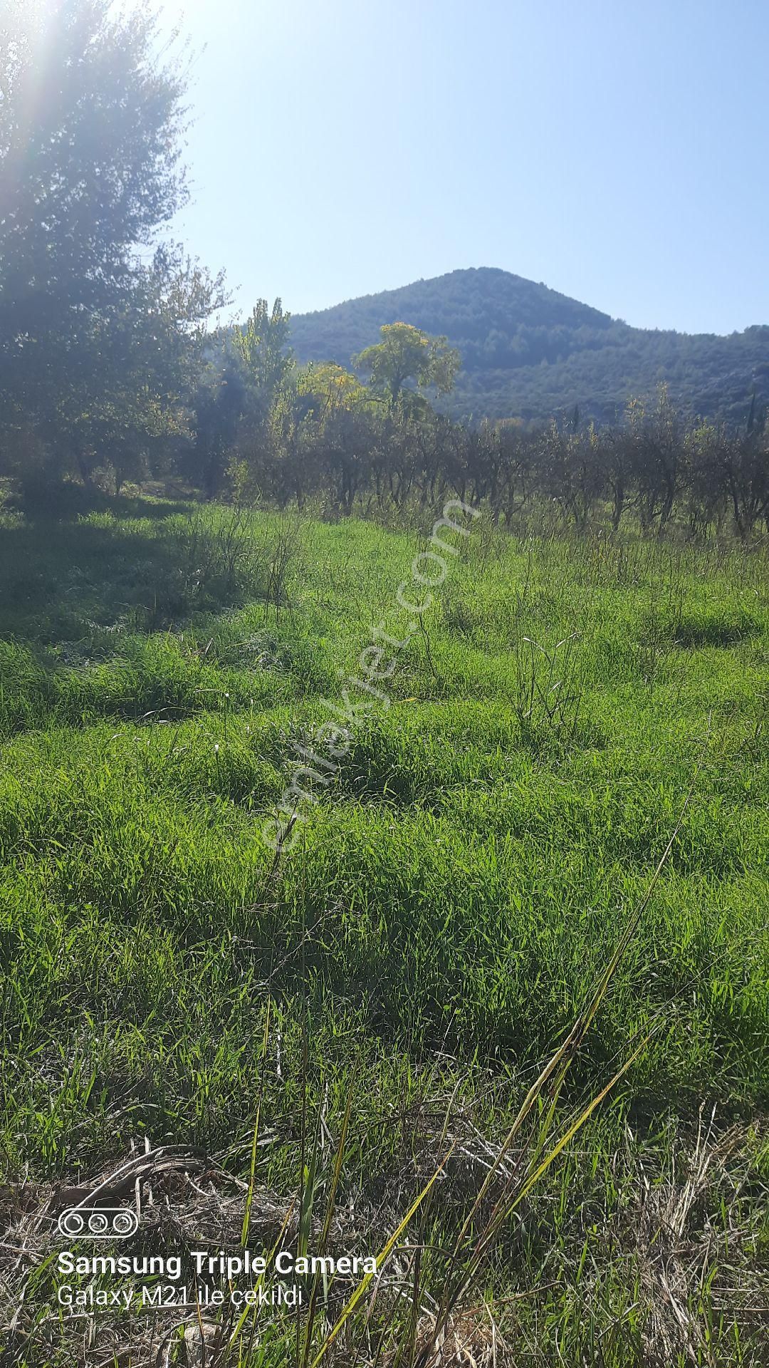 Fevziyede Kelepir 4837 M2 - Görsel 3