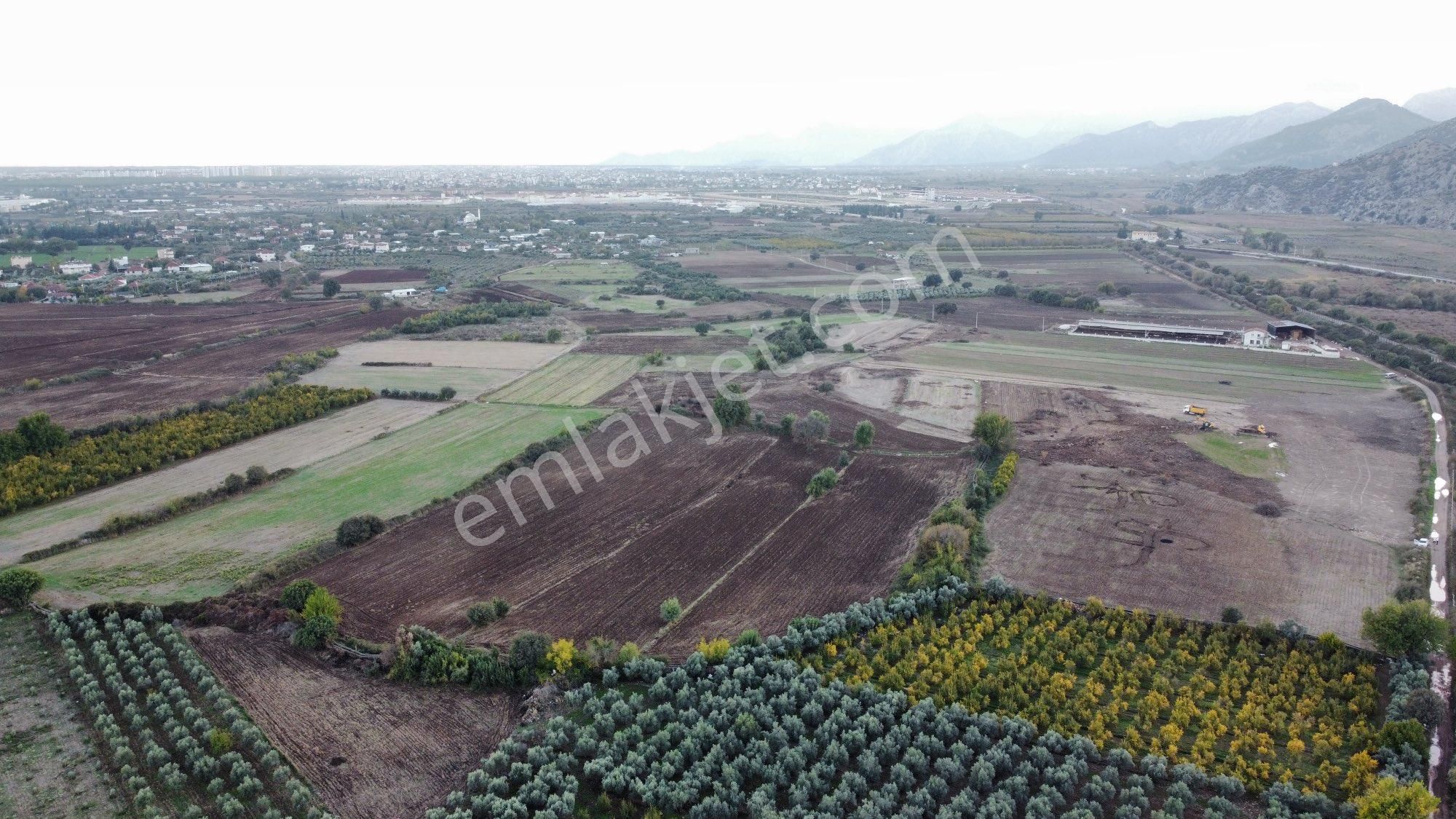 Döşemealtı Kömürcüler Satılık Tarla - Görsel 4