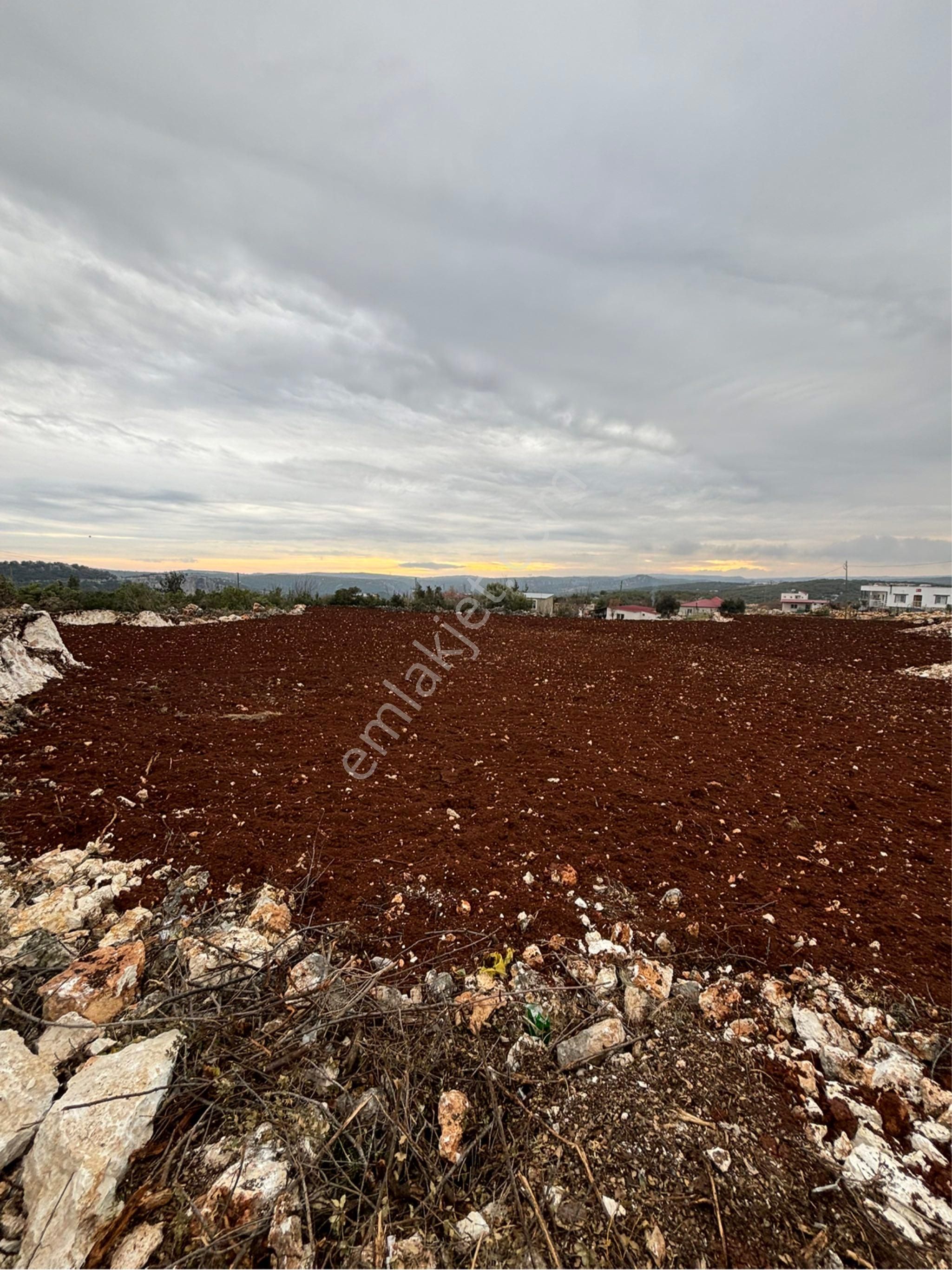 Sahibinden Yeniyurt Köy Merkezinde Ev Yeri Yaylalık - Görsel 5