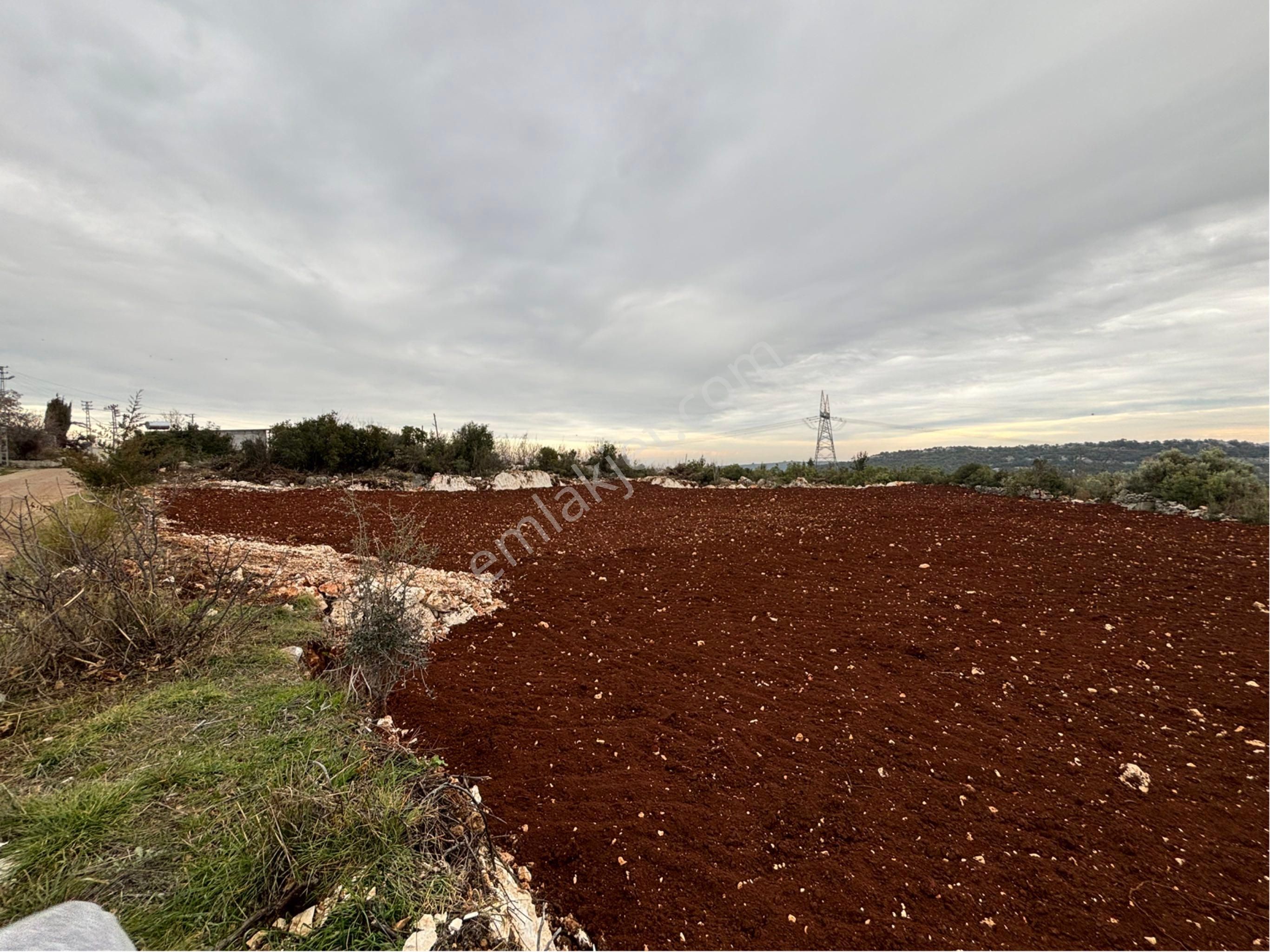 Sahibinden Yeniyurt Köy Merkezinde Ev Yeri Yaylalık - Görsel 13