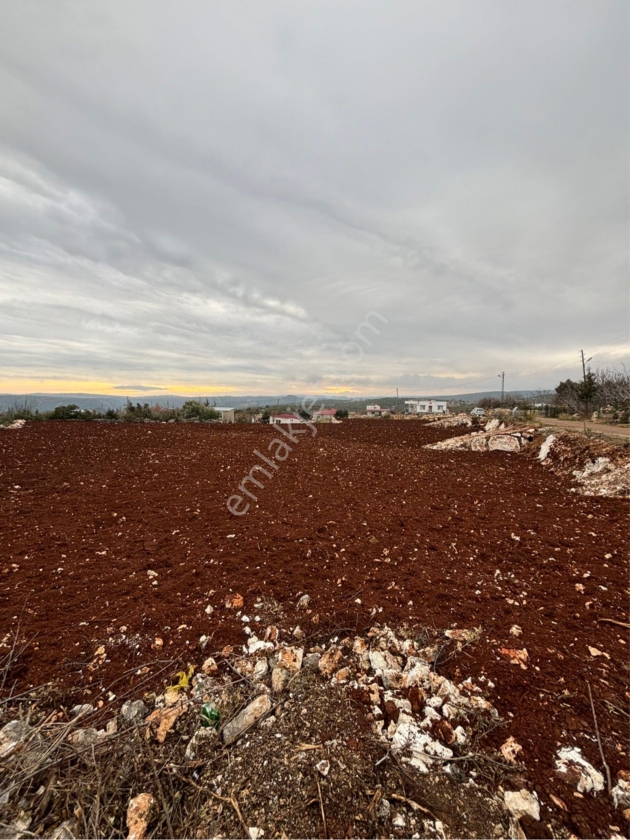 Sahibinden Yeniyurt Köy Merkezinde Ev Yeri Yaylalık - Görsel 4