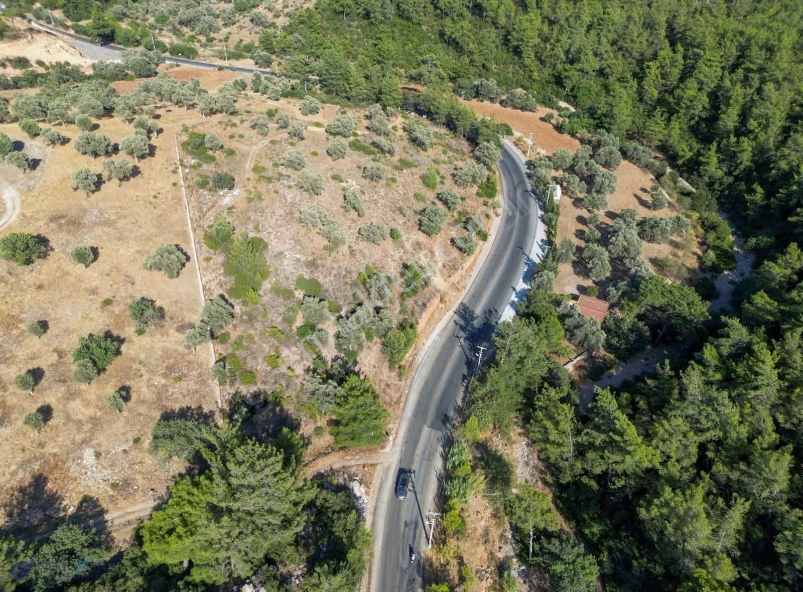Bodrum Yalıçiftlik' Te 2144 M2 Fırsat Kapısı - Görsel 4