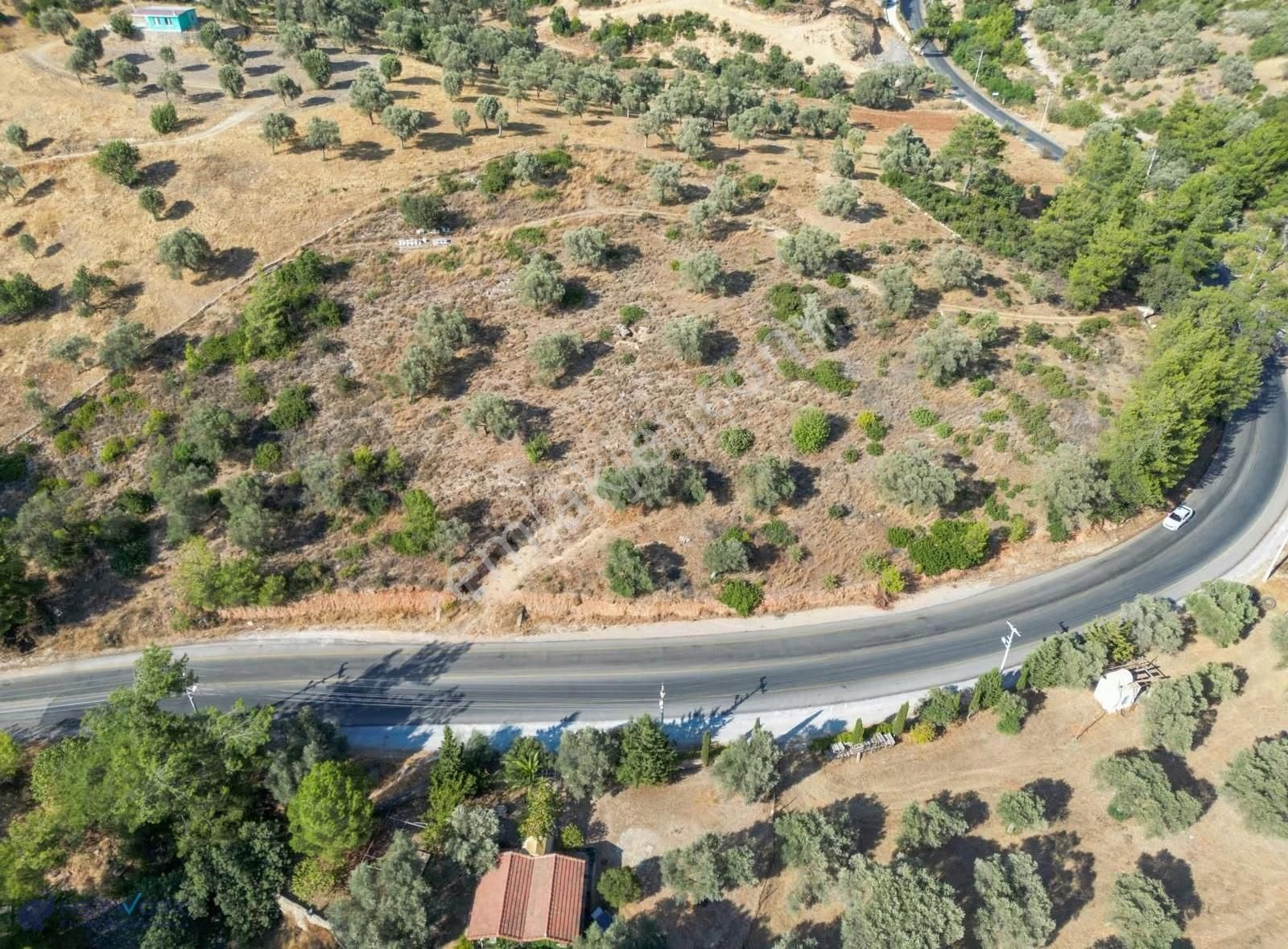 Bodrum Yalıçiftlik' Te 2144 M2 Fırsat Kapısı - Görsel 3