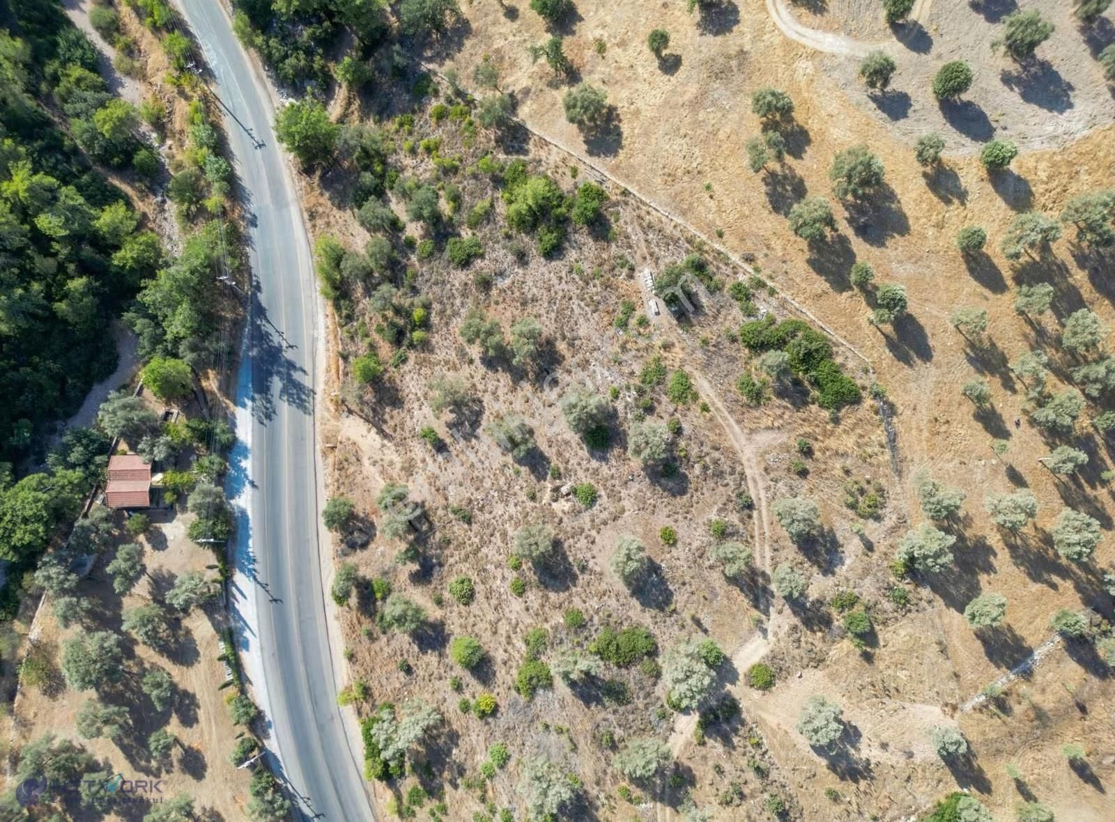 Bodrum Yalıçiftlik' Te 2144 M2 Fırsat Kapısı - Görsel 6