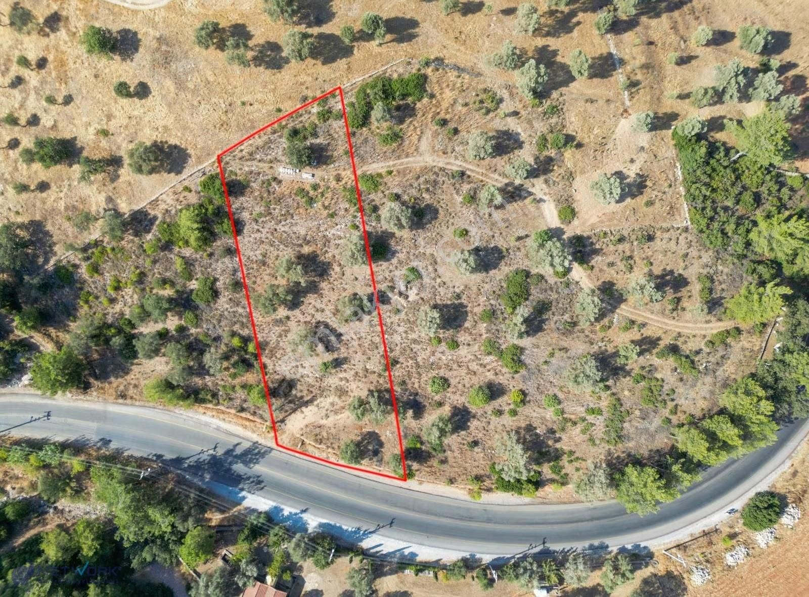 Bodrum Yalıçiftlik' Te 2144 M2 Fırsat Kapısı