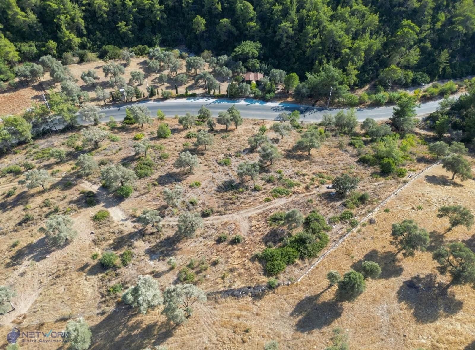 Bodrum Yalıçiftlik' Te 2144 M2 Fırsat Kapısı - Görsel 2