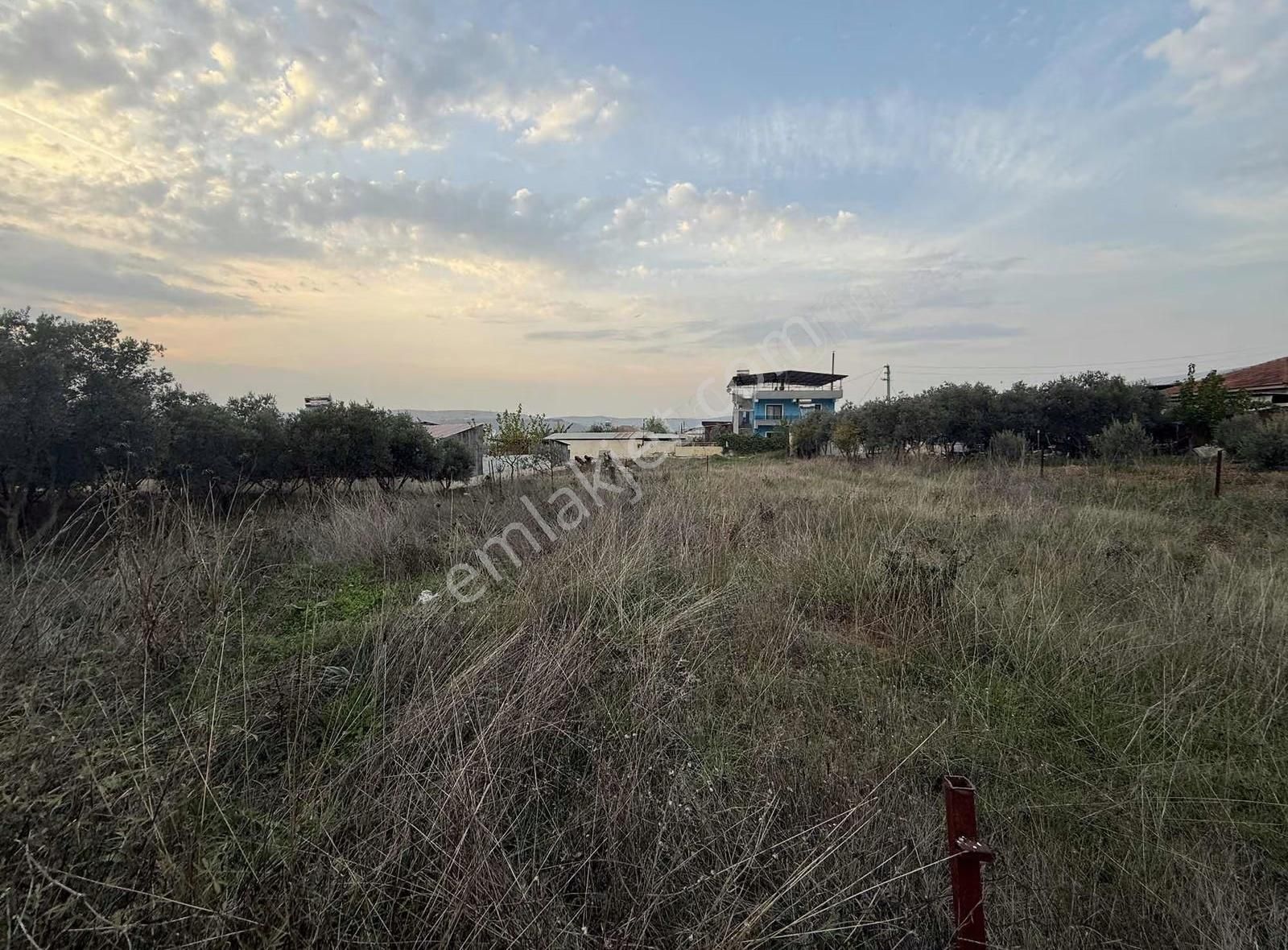 Pek Emlaktan İmarlı Arsa İsteyen Bu İlanı İncelesin Tire Alacalı - Görsel 5