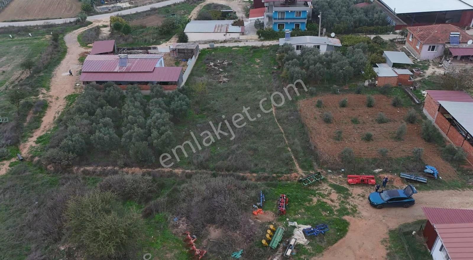 Pek Emlaktan İmarlı Arsa İsteyen Bu İlanı İncelesin Tire Alacalı - Görsel 4