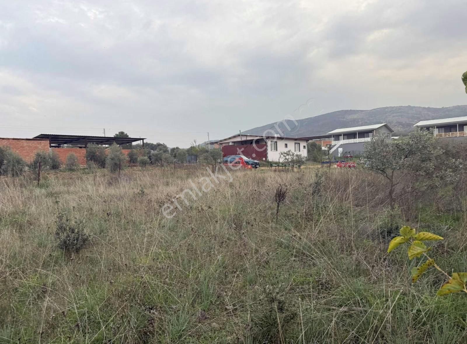 Pek Emlaktan İmarlı Arsa İsteyen Bu İlanı İncelesin Tire Alacalı - Görsel 2