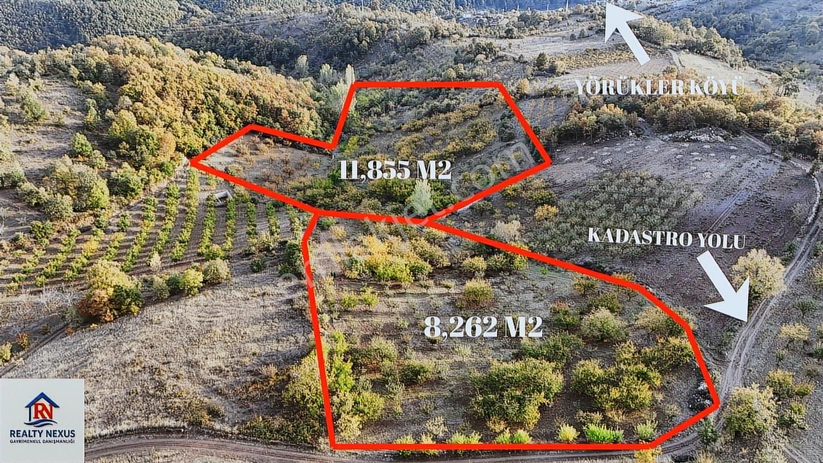 Realty Nexus'dan İznik Yörükler' De 20,117 M2 Meyve Bahçesi