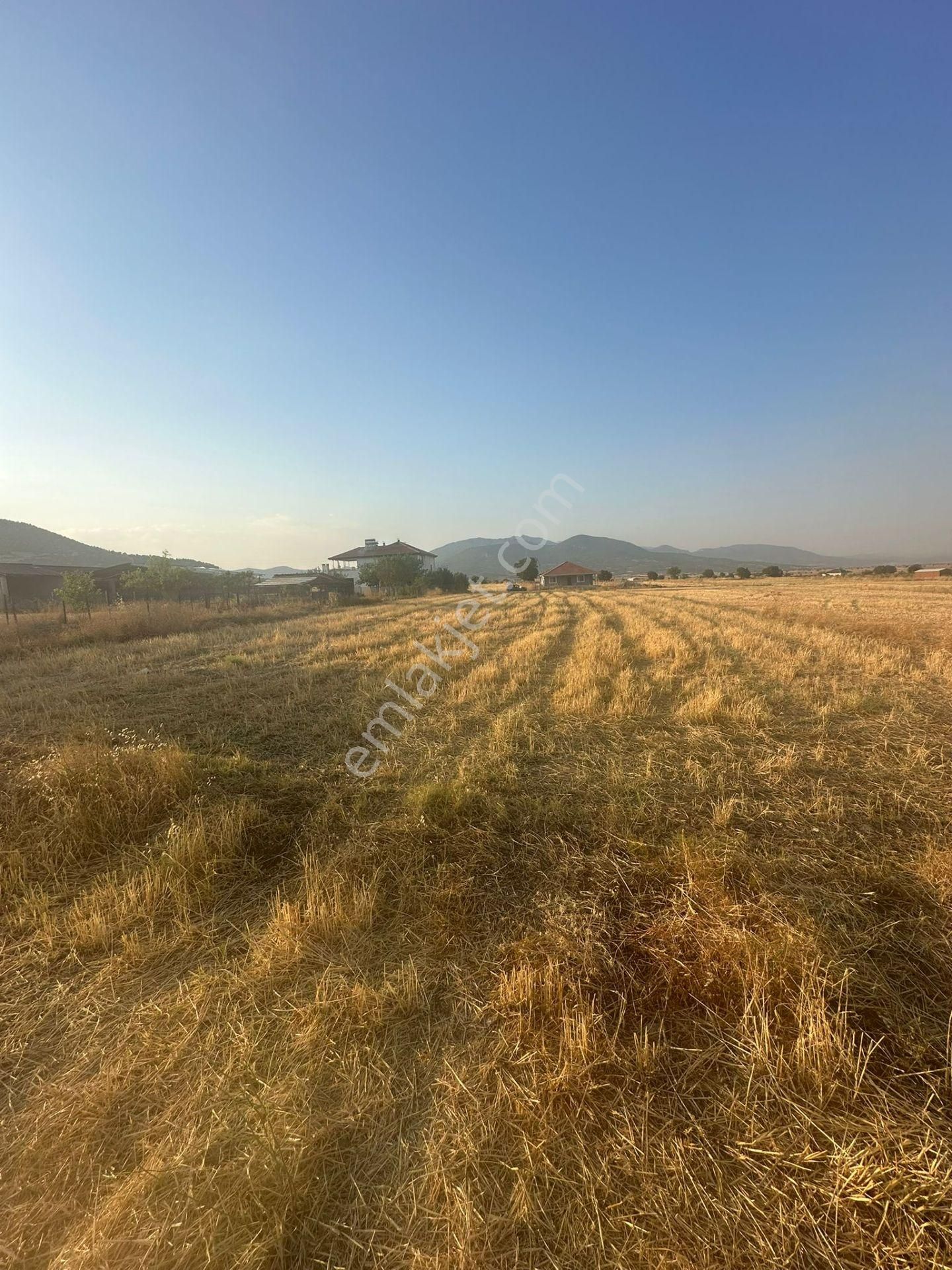 Antalya Korkuteli Çomaklıda Köy İçi Kaçırılmayacak Tarla - Görsel 19