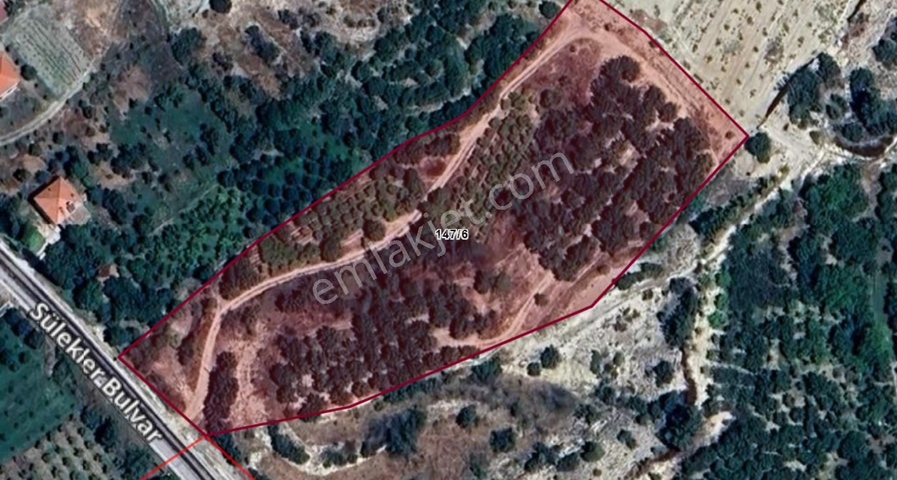 Antalya Korkuteli Sülekler Köyünde Ana Yola Cephe Satılık Meyve Bahçesi - Görsel 15