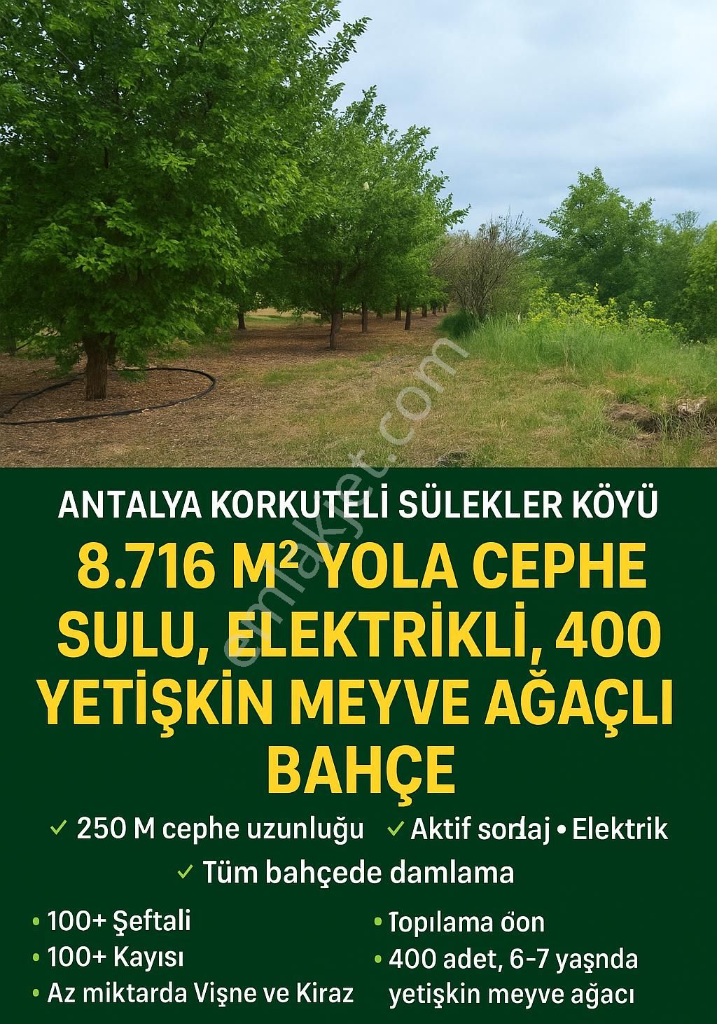 Antalya Korkuteli Sülekler Köyünde Ana Yola Cephe Satılık Meyve Bahçesi - Görsel 2