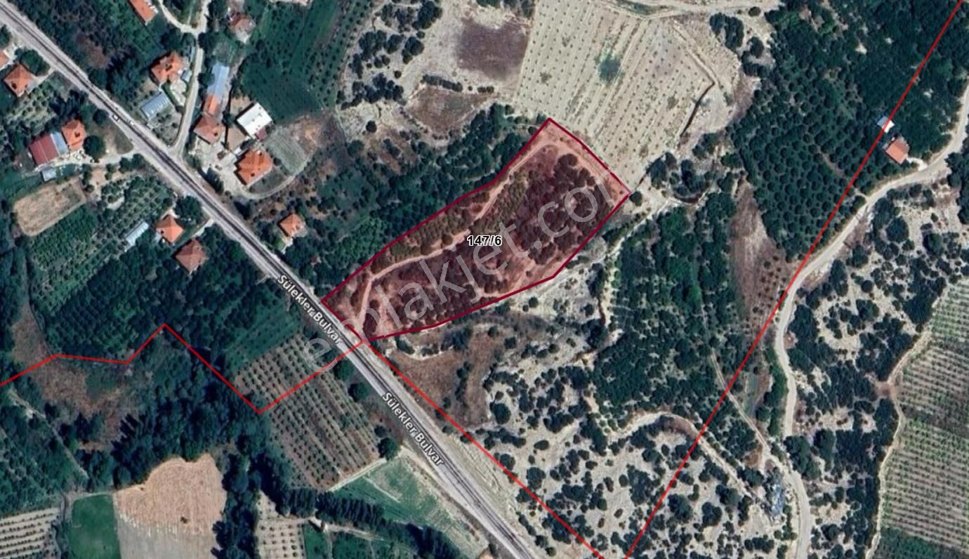 Antalya Korkuteli Sülekler Köyünde Ana Yola Cephe Satılık Meyve Bahçesi - Görsel 7