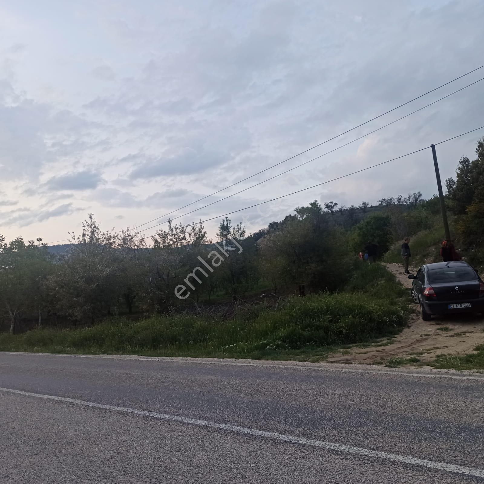 Antalya Korkuteli Sülekler Köyünde Ana Yola Cephe Satılık Meyve Bahçesi - Görsel 5