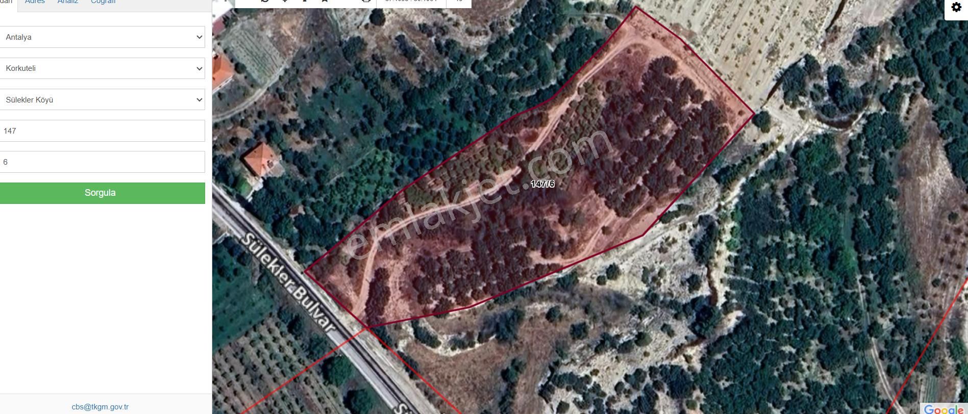 Antalya Korkuteli Sülekler Köyünde Ana Yola Cephe Satılık Meyve Bahçesi