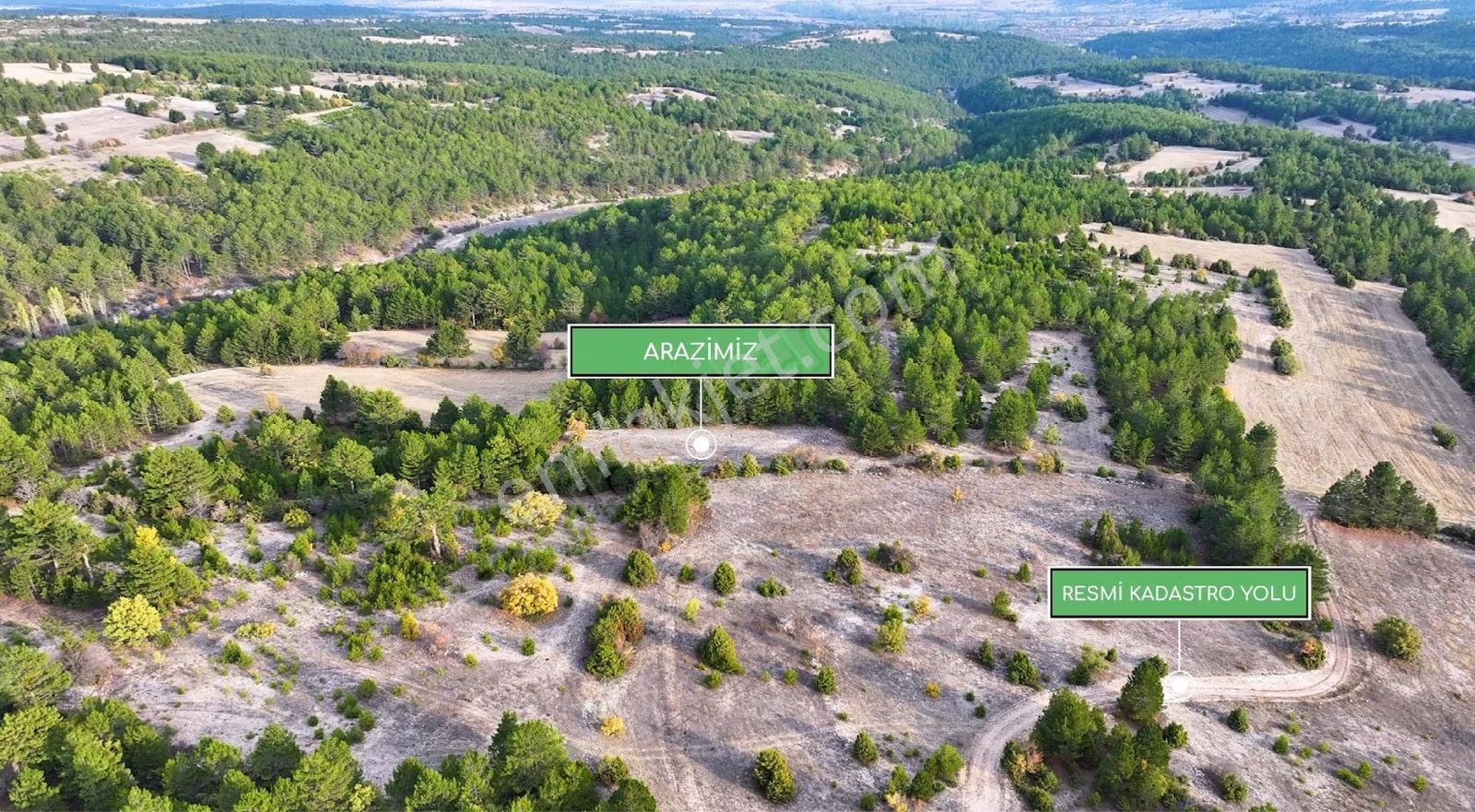 Kütahya Emette 1678 M² Uygun Fiyatlı Yatırım Fırsatı - Görsel 3