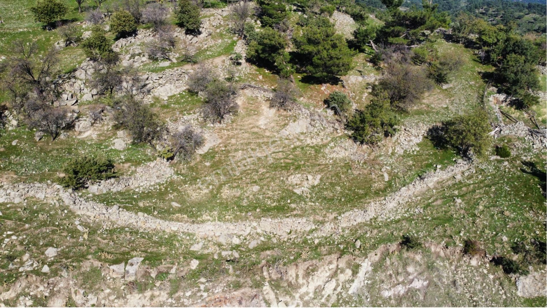 Burhaniye Çamtepe’de 646 M², Resmi Yolu Mevcut Ve Yerleşime Yakın Bahçe - Görsel 7