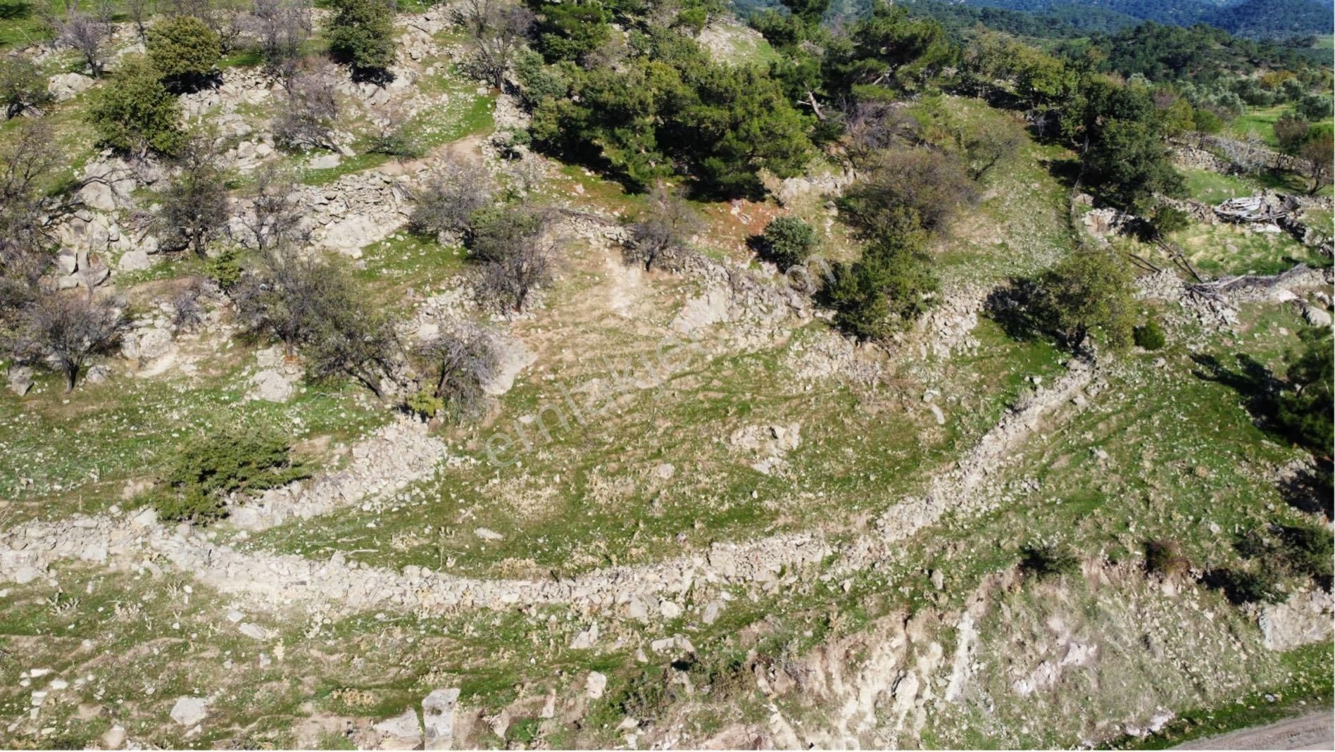 Burhaniye Çamtepe’de 646 M², Resmi Yolu Mevcut Ve Yerleşime Yakın Bahçe - Görsel 6