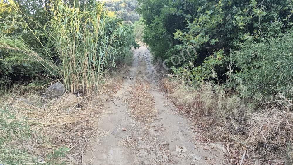 Torbalı Karakızlar Köyü Satılık Zeytinlik 7.075m2