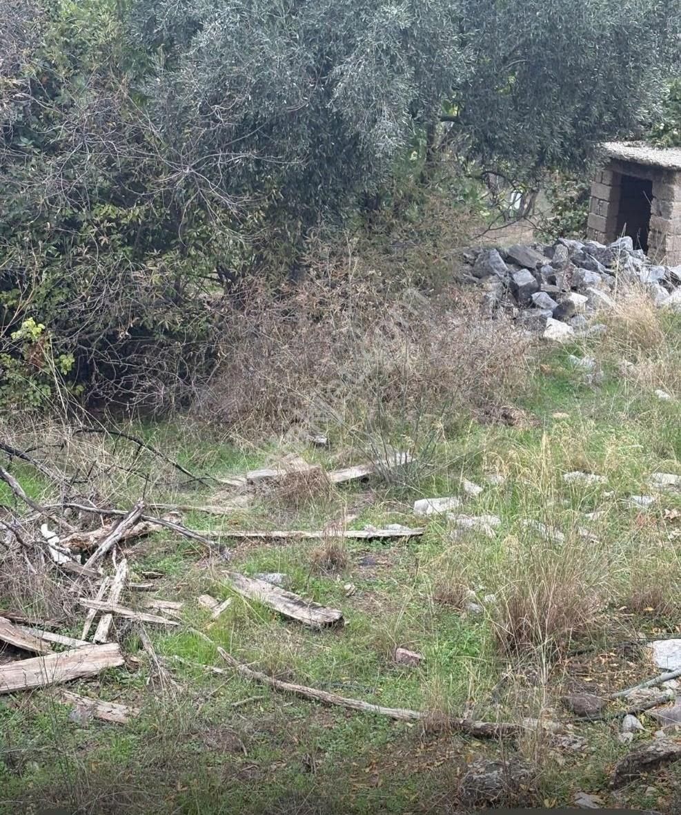 Muğla Yatağan Gökpınar'da Satılık Arsa - Görsel 6