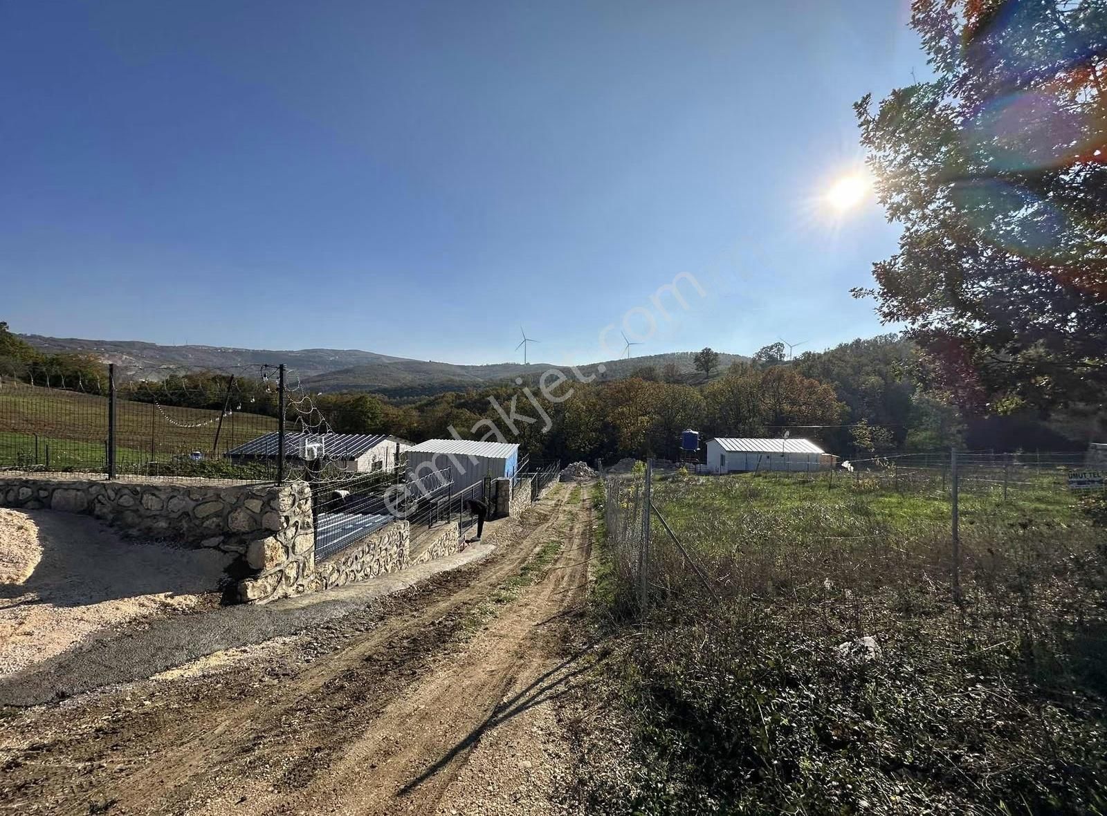 Özdemir Den Maksempınar Ana Asfalta Cephe Yerleşim İçinde - Görsel 14