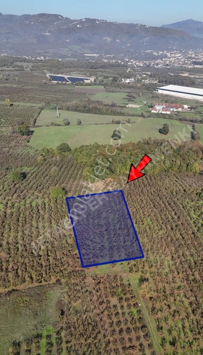 Gümüşova Fatih Mahallesinde Satılık 1927 M² Arsa - Görsel 9