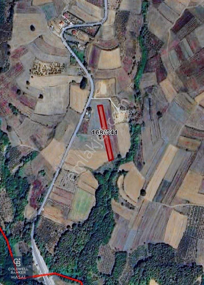 Kocaeli İzmit Ambarcı 2.800 M2 Müstakil Tapulu Tarla - Görsel 2