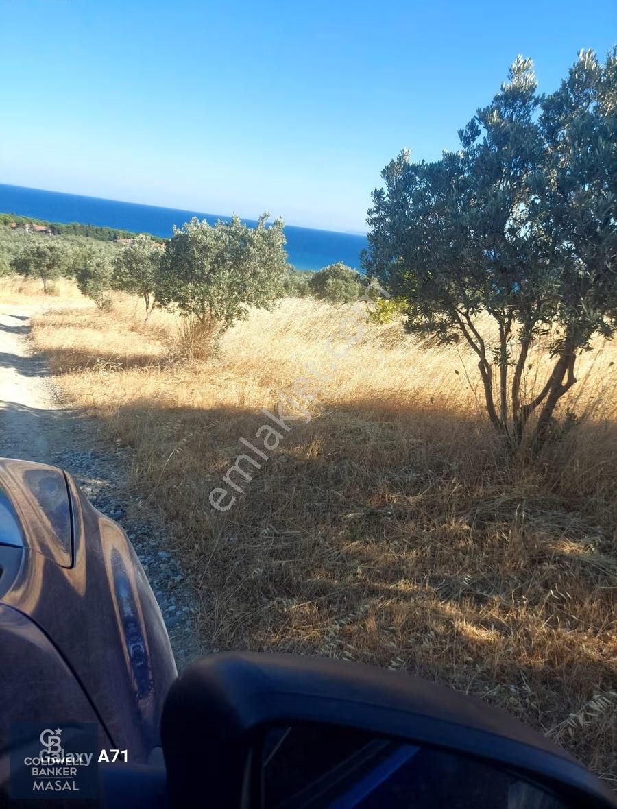 Şarköy Eriklice'de Satılık 181 M2 Villa İmarlı Arsa - Görsel 4