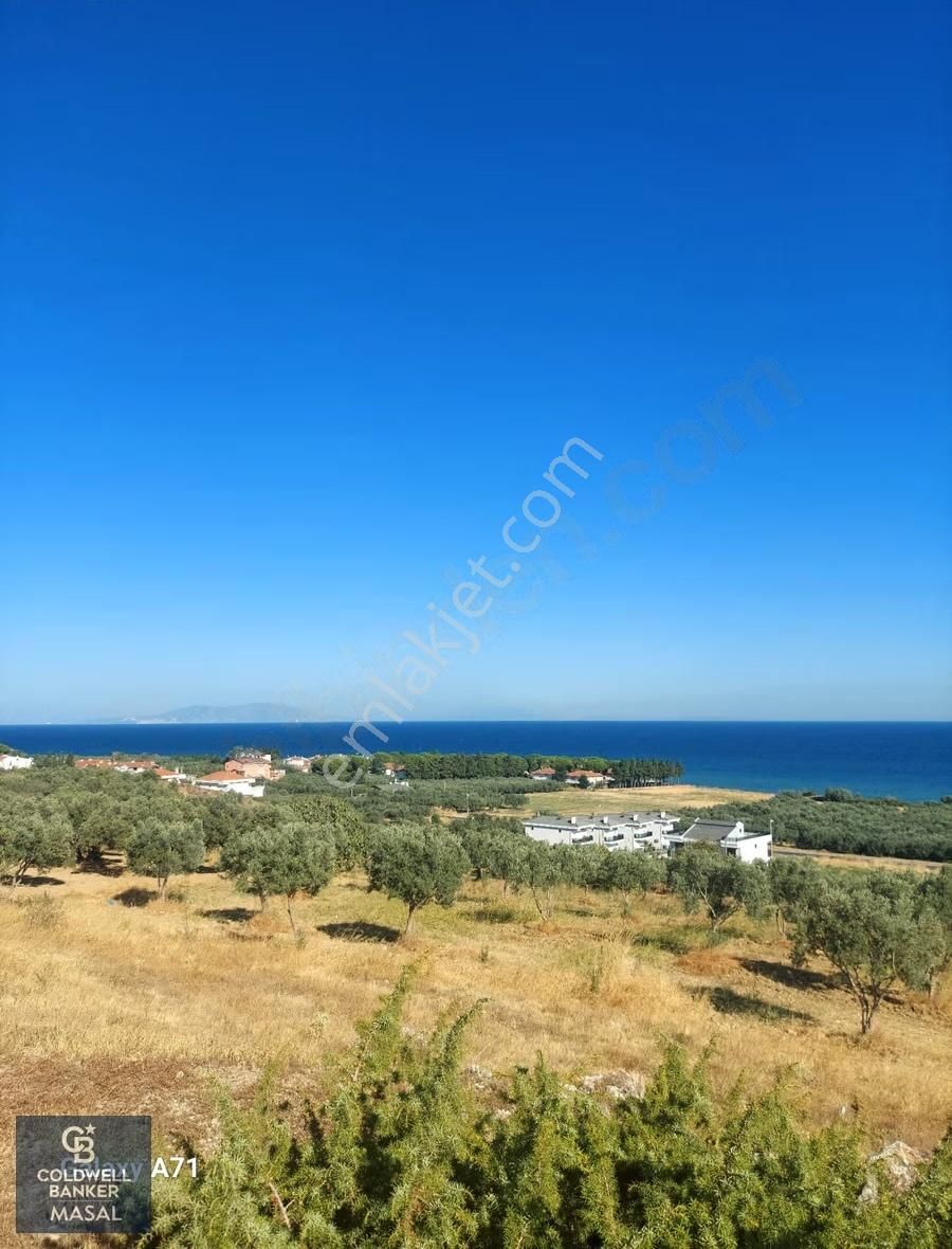 Şarköy Eriklice'de Satılık 181 M2 Villa İmarlı Arsa