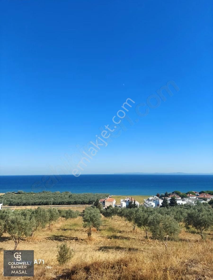 Şarköy Eriklice'de Satılık 181 M2 Villa İmarlı Arsa - Görsel 2