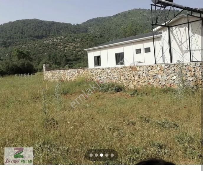 Yeşil Üzümlü Satılık Tarla - Görsel 2