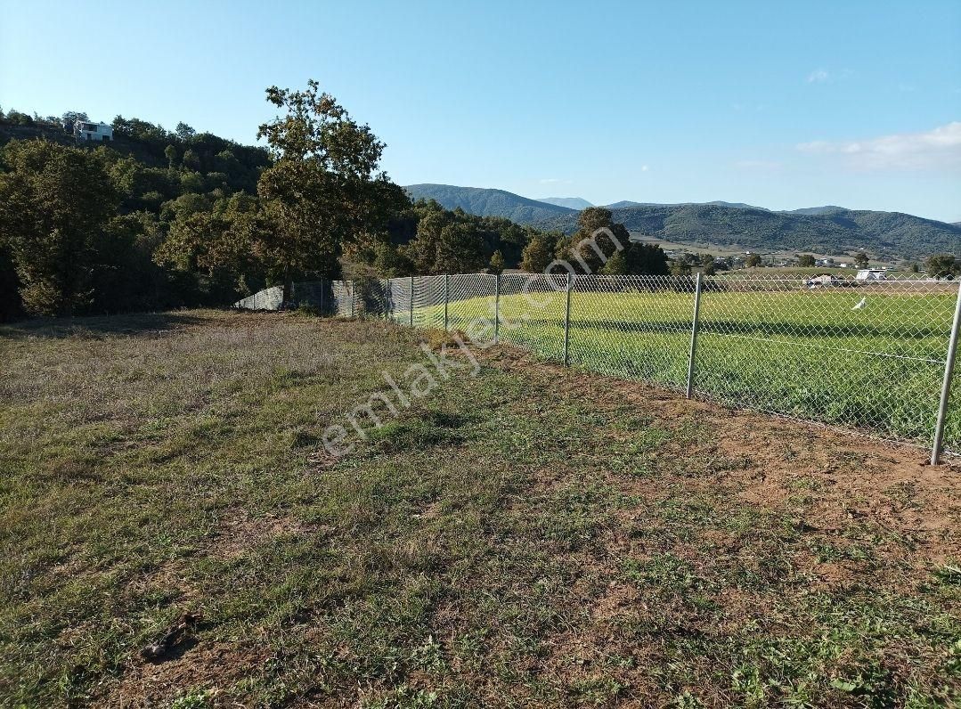 4600 M2 Etrafı Çevrili Yatırımlık Tarla - Görsel 4