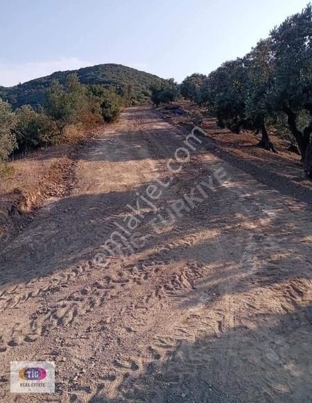 Tek İşim Gayrimenkul'den Mudanya Kumyaka Da Satılık Fırsat Tarla - Görsel 14