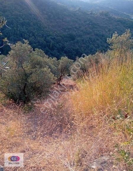 Tek İşim Gayrimenkul'den Mudanya Kumyaka Da Satılık Fırsat Tarla - Görsel 16