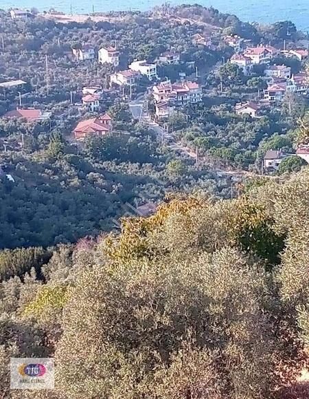 Tek İşim Gayrimenkul'den Mudanya Kumyaka Da Satılık Fırsat Tarla - Görsel 13