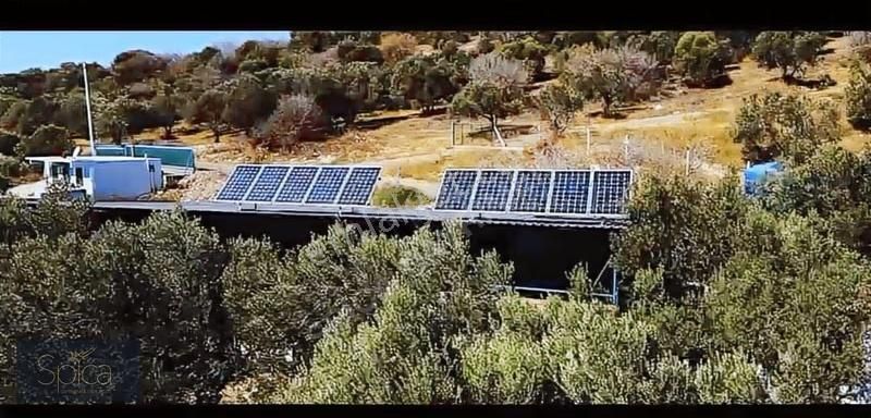 İzmir Foça Yolu Üzerinde 2650 M2 İçinde Çiftlik Hayatı Ve Konutu - Görsel 10