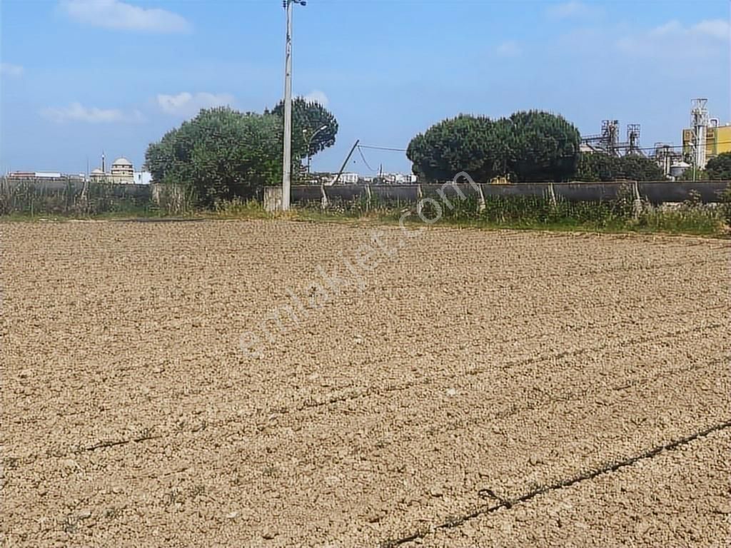 Ay Emlaktan Satılık Karacabey Hotanlıda 3677 M Tarla - Görsel 19