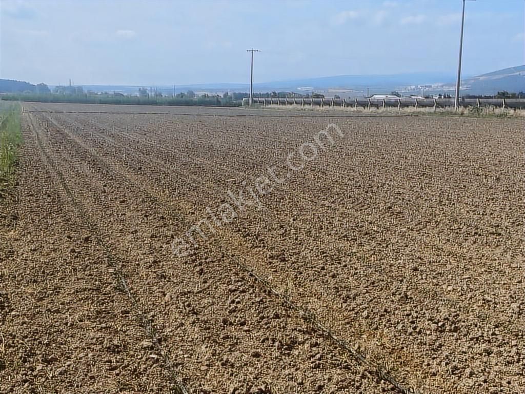 Ay Emlaktan Satılık Karacabey Hotanlıda 3677 M Tarla - Görsel 8