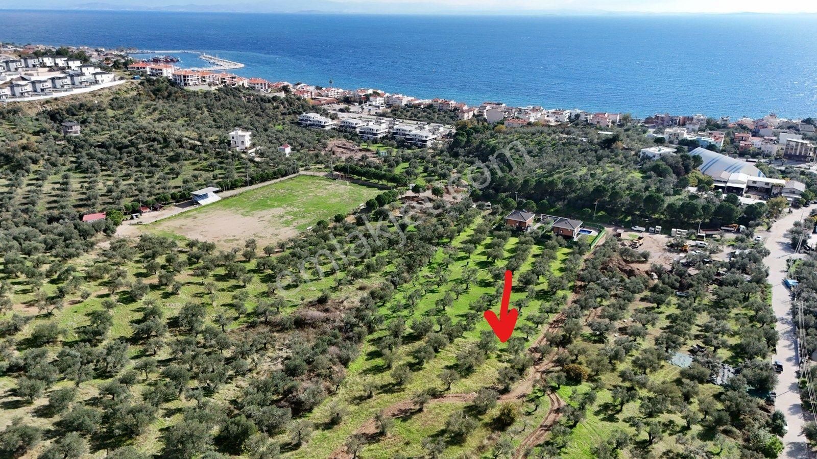 Küçükkuyu’da Satılık Müstakil Villa Arsası - Görsel 2