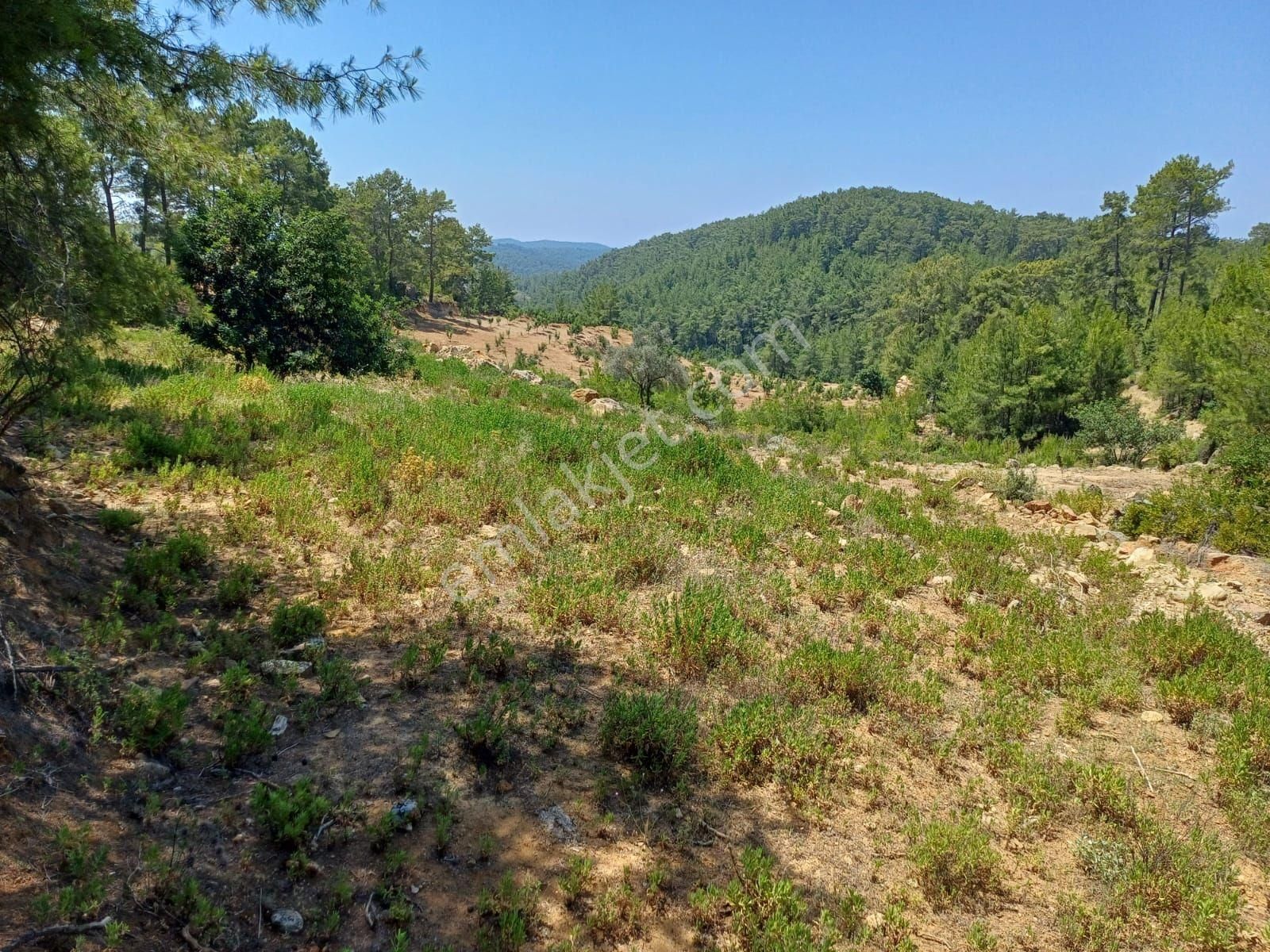 Yol Su Sorunu Olmayan Yatırımlık - Görsel 2